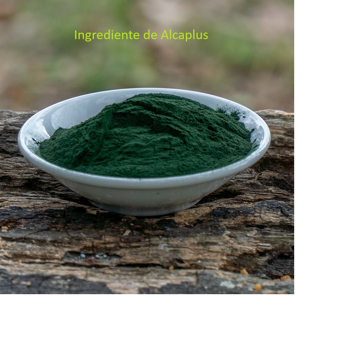 Alcaplus incluye Espirulina